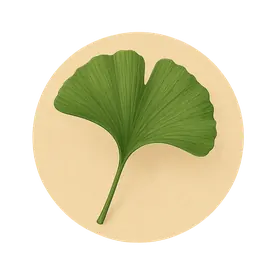 Extracto de Ginkgo biloba — ingrediente de Neuroson